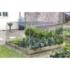 Moestuin Groentekooi - 120 × 120 Cm -ESSCHER Winkel 1498562862 1 600