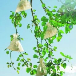 Fruithoezen 17 × 22 Cm Micropapier - Set Van 50 Stuks -ESSCHER Winkel 1523459561 1 600