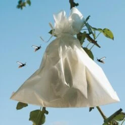 Fruithoezen 17 × 22 Cm Micropapier - Set Van 50 Stuks -ESSCHER Winkel 1523459561 2 600