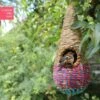Vogelnest Tahera - Traanvorm -ESSCHER Winkel 1607076465 1 600
