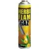 BSI HerbiFlam Gas Onkruidbestrijding - 600 Ml -ESSCHER Winkel 1612189964 1 600