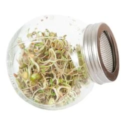 Organic Sprouting Pot - Salade Mix BIO -ESSCHER Winkel 1647946862 2 600
