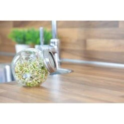 Organic Sprouting Pot - Salade Mix BIO -ESSCHER Winkel 1647946862 3 600