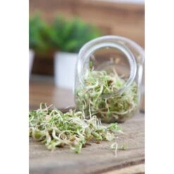 Organic Sprouting Pot - Salade Mix BIO -ESSCHER Winkel 1647946862 4 600