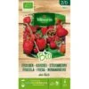 Aardbei Des Bois BIO -ESSCHER Winkel aardbei des bois bio 1646839542 213 600