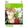 Alcea Rosea Chaters Mix -ESSCHER Winkel alcea rosea chaters mix 1646840334 495 600