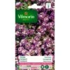 Alyssum Koningstapijt - Lobularia Maritima -ESSCHER Winkel alyssum koningstapijt lobularia maritima 1646839543 224 600