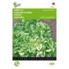 Andijvie Nummer Vijf - Cichorium Endivia -ESSCHER Winkel andijvie nummer vijf cichorium endivia 1646840314 71 600