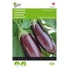 Aubergine Lange Violette - Solanum Melongena -ESSCHER Winkel aubergine lange violette solanum melongena 1646840315 75 600