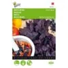 Basilicum Dark Opal - Ocimum Basilicum -ESSCHER Winkel basilicum dark opal ocimum basilicum 1646840311 9 600