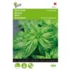 Basilicum Grove - Ocimum Basilicum -ESSCHER Winkel basilicum grove ocimum basilicum 1646840312 13 600