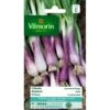 Bieslook Rode - Allium Fistulosum -ESSCHER Winkel bieslook rode allium fistulosum 1646839529 121 600
