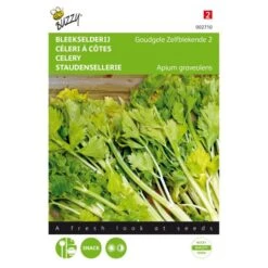 Bleekselderie Goudgele Zelfblekende - Apium Graveolens