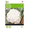 Bloemkool Alpha - Brassica Oleracea -ESSCHER Winkel bloemkool alpha brassica oleracea 1646840315 93 600