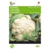 Bloemkool Walcheren Winter - Brassica Oleracea -ESSCHER Winkel bloemkool walcheren winter brassica oleracea 1646840316 97 600
