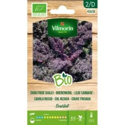 Boerenkool Scarlet BIO