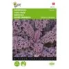 Boerenkool Scarlet Paars -ESSCHER Winkel boerenkool scarlet paars 1646840382 1508 600
