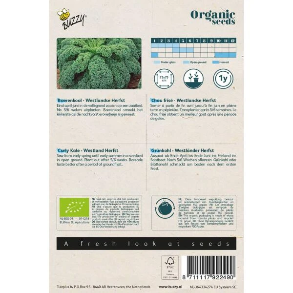 Boerenkool Westlandse BIO 4 Boerenkool Westlandse BIO - Afbeelding 2