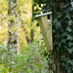 ESSCHERT DESIGN Nestkast Boomkruiper -ESSCHER Winkel boomkruiper nestkast 1484052904 5 600