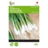 Bosuien White Lisbon - Allium Cepa -ESSCHER Winkel bosuien white lisbon allium cepa 1646840322 257 600