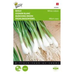 Bosuien White Lisbon - Allium Cepa