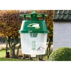 DCM Buxusmottenval Hangen Of Staan -ESSCHER Winkel buxusmottenval 2 feromooncapsules 1548846669 1 600