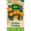 Calendula BIO - Goudsbloem -ESSCHER Winkel calendula bio 1646400356 1 600