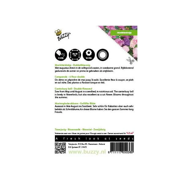 Campanula Medium (dubbelbloemig Marietteklokje) 4 Campanula Medium (dubbelbloemig Marietteklokje) - Afbeelding 2