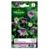 Cobea Klimmende - Cobea Scandens -ESSCHER Winkel cobea klimmende cobea scandens 1646839547 242 600
