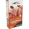 DCM Bloemenmengsel Lieveheersbeestjes - 10 M² -ESSCHER Winkel dcm bloemenmix lieveheersbeestjes 10 m 1675761967 1 600