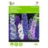Delphinium Cultorum Pacific Giant -ESSCHER Winkel delphinium cultorum pacific giant 1646840336 539 600