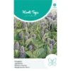 Dropplant - Agastache Mexicana 1 Dropplant - Agastache Mexicana -ESSCHER Winkel dropplant agastache mexicana 1646840359 1024 600