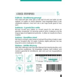 Duifkruid - Scabiosa Atropurpurea 5 Duifkruid - Scabiosa Atropurpurea -ESSCHER Winkel duifkruid scabiosa atropurpurea 1646840364 1147 600