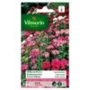 Duizendschoon Indisch Tapijt - Dianthus Barbatus -ESSCHER Winkel duizendschoon indisch tapijt dianthus barbatus 1646839545 234 600