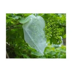 Fruithoezen 30 × 40 Cm - Set Van 50 Stuks