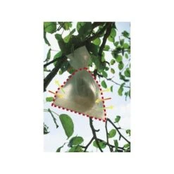 Fruithoezen 30 × 40 Cm - Set Van 50 Stuks -ESSCHER Winkel fruithoezen 1484055104 3 600