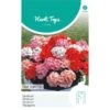 Geranium Magic Beauty - Pelargonium Zonale -ESSCHER Winkel geranium magic beauty pelargonium zonale 1646840363 1128 600