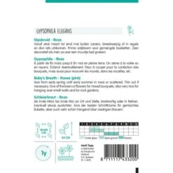 Gipskruid Rosea - Gypsophila Elegans -ESSCHER Winkel gipskruid rosea gypsophila elegans 1646840362 1091 600