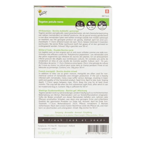 Groenbemester Afrikaantjes 50 G - 50 M² 4 Groenbemester Afrikaantjes 50 G - 50 M² - Afbeelding 2