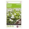 Groenbemester Witte Klaver 100 G - 100 M² -ESSCHER Winkel groenbemester witte klaver 100 g 100 m 1646840357 996 600
