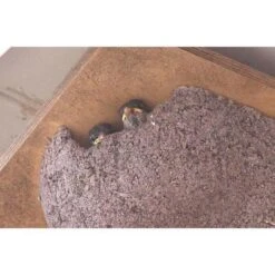 Zwaluwnest Voor Huiszwaluw - Dubbel -ESSCHER Winkel huiszwaluwnestkast dubbel 1484055101 3 600