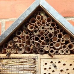 ESSCHERT DESIGN Groot Insectenhotel 7 Gastenkamers -ESSCHER Winkel insectenhotel 7 kamers 1484055171 5 600