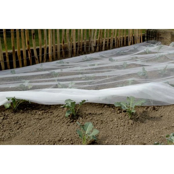 Insectennet Biocontrol 3,3 × 10 M 4 Insectennet Biocontrol 3,3 × 10 M - Afbeelding 2
