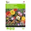 Japans Bloemengazon -ESSCHER Winkel japans bloemengazon 1646840333 477 600