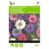 Juffertje Int Groen Persian Jewels - Nigella Damascena -ESSCHER Winkel juffertje int groen persian jewels nigella damascena 1646840330 415 600