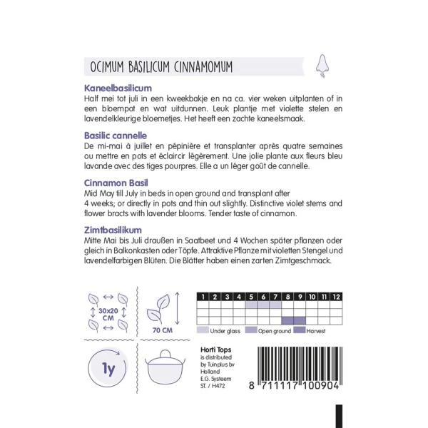 Kaneelbasilicum - Ocimum Basilicum Cinamonette 4 Kaneelbasilicum - Ocimum Basilicum Cinamonette - Afbeelding 2