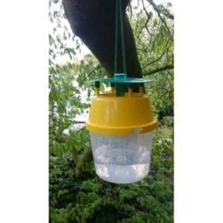 Kastanjemineermot Vangbeker + 1 Feromoon-gelspuit -ESSCHER Winkel kastanjemineermot vangen 1484053362 5 600