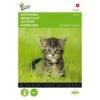 Kattengras Gerst -ESSCHER Winkel kattengras gerst 1646840387 1574 600