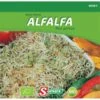 Kiemen Alfalfa/luzerne - BIO -ESSCHER Winkel kiemgroente alfalfa bio 1484061668 1 600