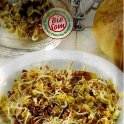 Kiemen Lentemix - BIO